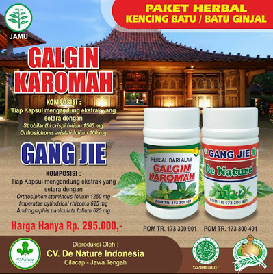 Illustration for article titled Faktor Resiko Penyakit Gagal Ginjal Kronik